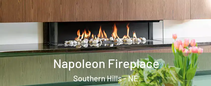 Napoleon Fireplace Southern Hills - NE