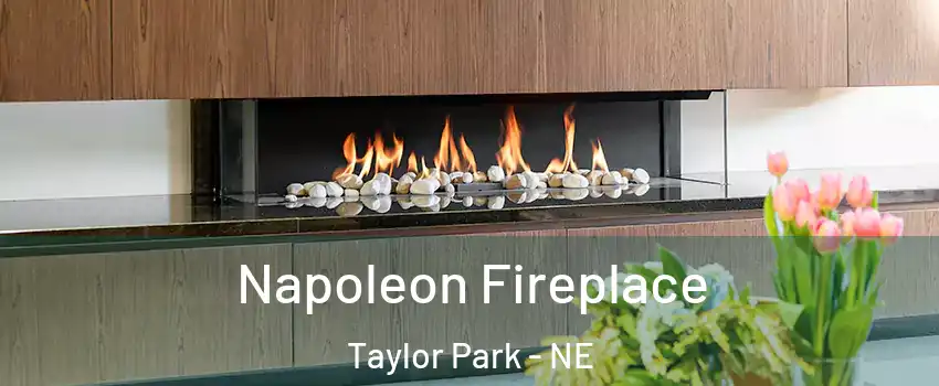 Napoleon Fireplace Taylor Park - NE