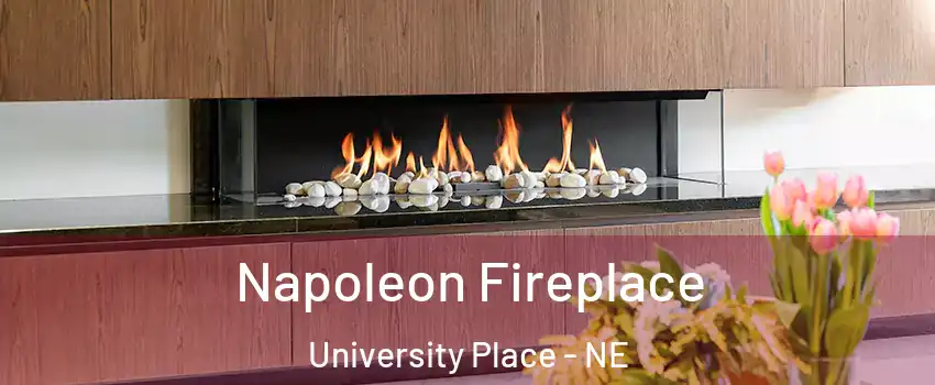 Napoleon Fireplace University Place - NE