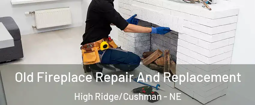 Old Fireplace Repair And Replacement High Ridge/Cushman - NE