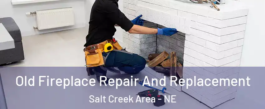 Old Fireplace Repair And Replacement Salt Creek Area - NE