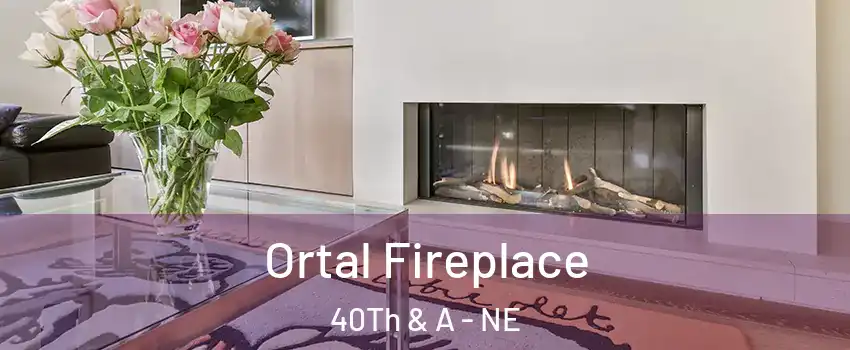 Ortal Fireplace 40Th & A - NE