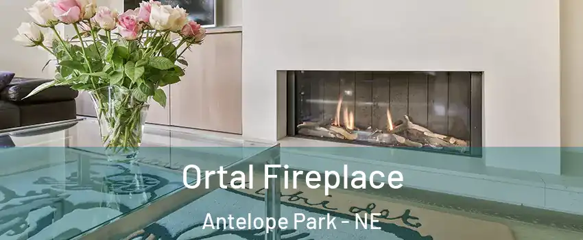 Ortal Fireplace Antelope Park - NE