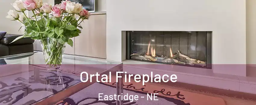 Ortal Fireplace Eastridge - NE