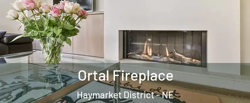 Ortal Fireplace Haymarket District - NE