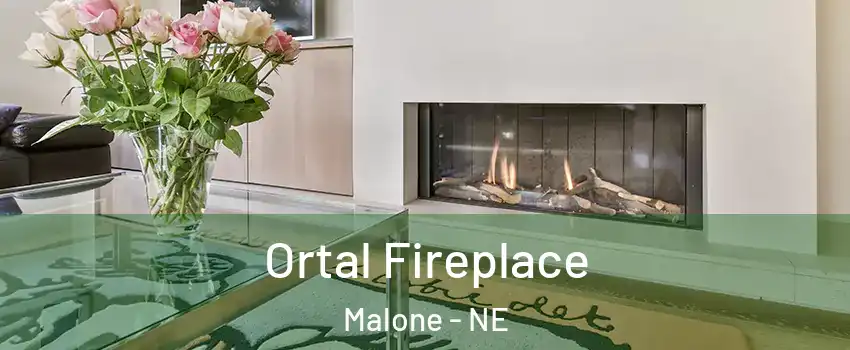 Ortal Fireplace Malone - NE