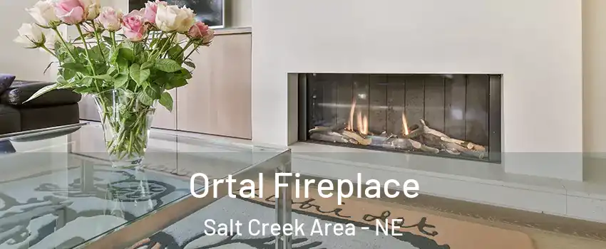 Ortal Fireplace Salt Creek Area - NE