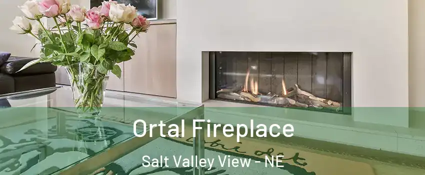 Ortal Fireplace Salt Valley View - NE