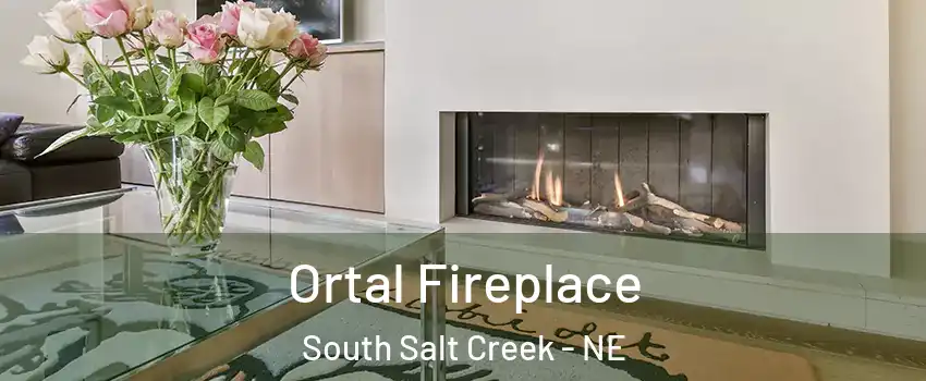 Ortal Fireplace South Salt Creek - NE