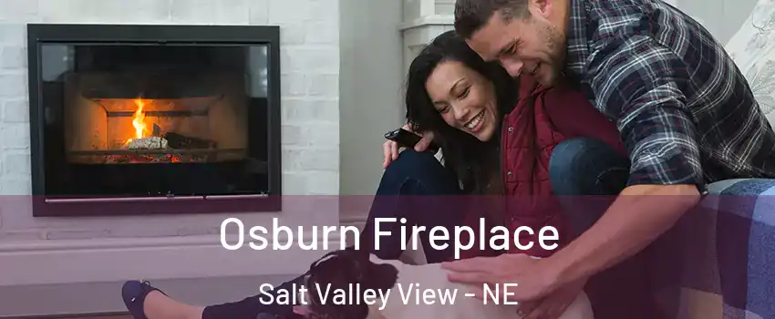 Osburn Fireplace Salt Valley View - NE