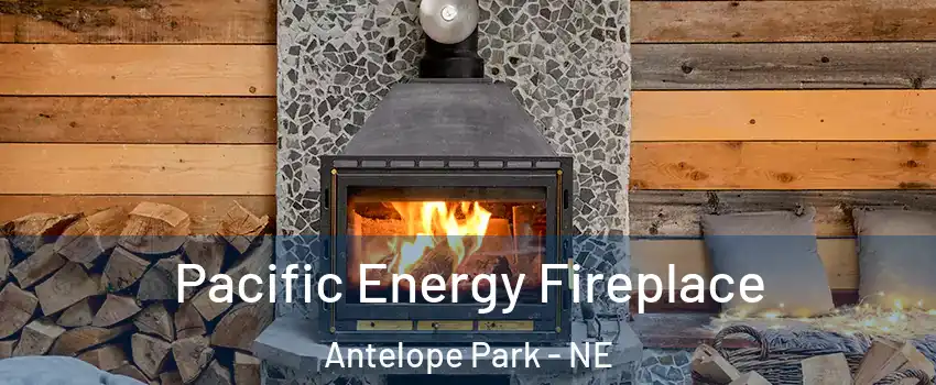 Pacific Energy Fireplace Antelope Park - NE