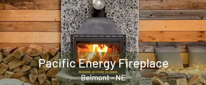 Pacific Energy Fireplace Belmont - NE