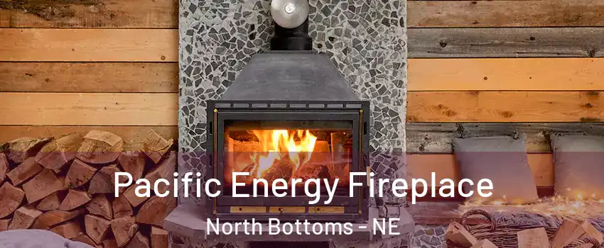 Pacific Energy Fireplace North Bottoms - NE