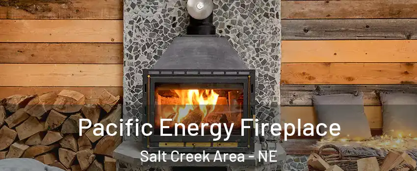 Pacific Energy Fireplace Salt Creek Area - NE