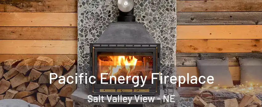 Pacific Energy Fireplace Salt Valley View - NE