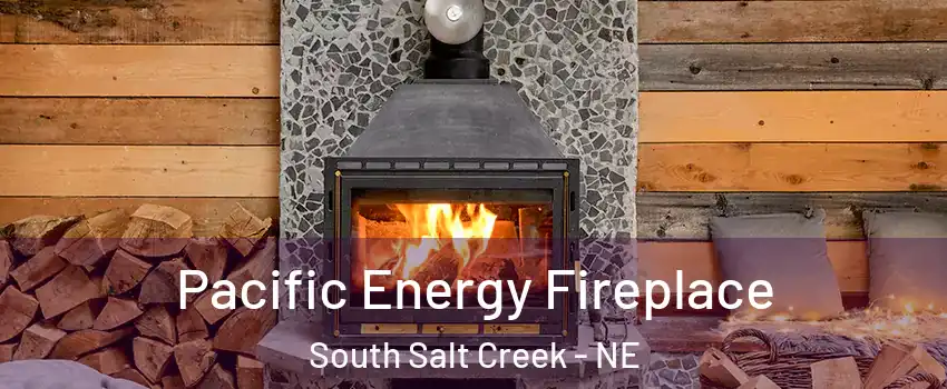 Pacific Energy Fireplace South Salt Creek - NE