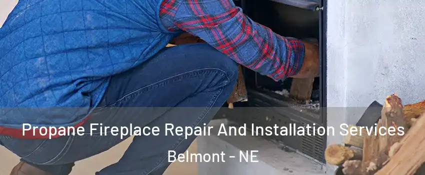 Propane Fireplace Repair And Installation Services Belmont - NE