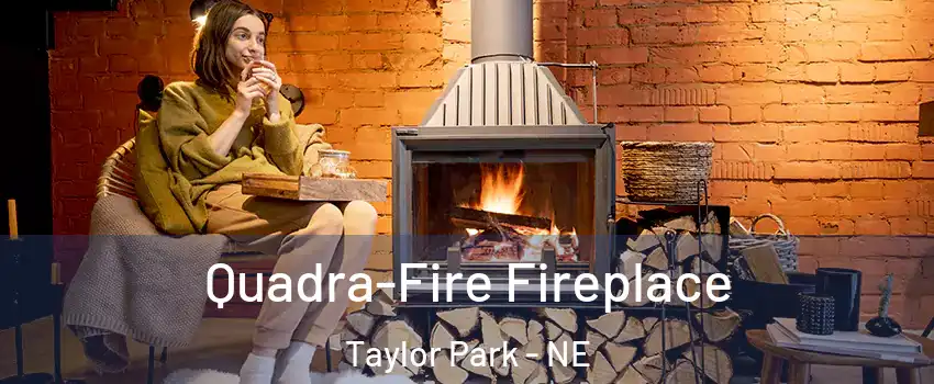 Quadra-Fire Fireplace Taylor Park - NE