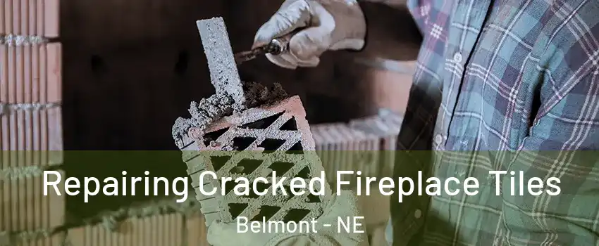 Repairing Cracked Fireplace Tiles Belmont - NE