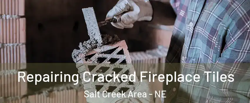 Repairing Cracked Fireplace Tiles Salt Creek Area - NE