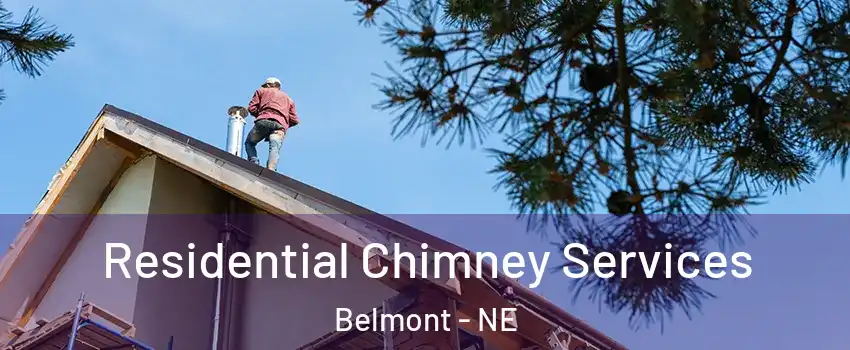 Residential Chimney Services Belmont - NE