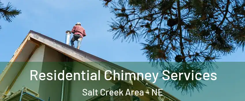 Residential Chimney Services Salt Creek Area - NE