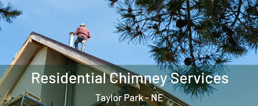 Residential Chimney Services Taylor Park - NE