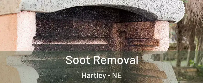 Soot Removal Hartley - NE