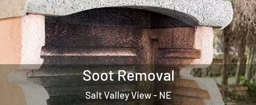 Soot Removal Salt Valley View - NE