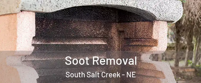 Soot Removal South Salt Creek - NE