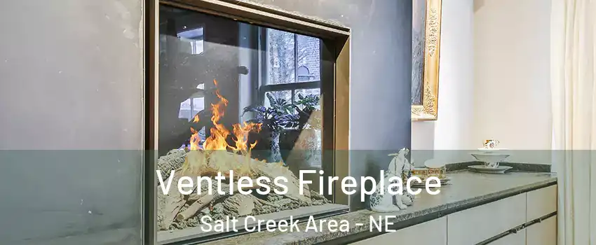 Ventless Fireplace Salt Creek Area - NE