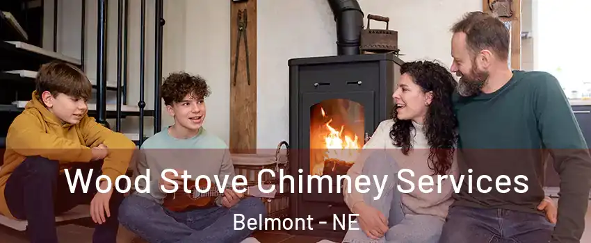 Wood Stove Chimney Services Belmont - NE