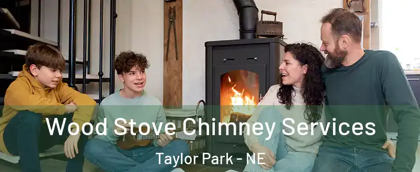 Wood Stove Chimney Services Taylor Park - NE