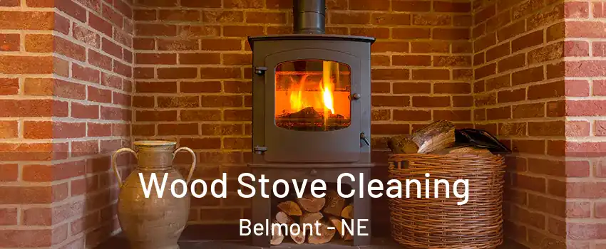 Wood Stove Cleaning Belmont - NE